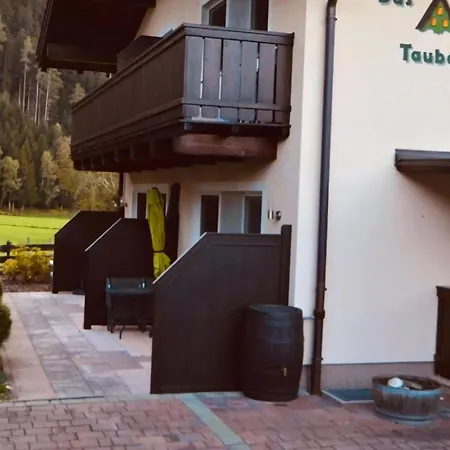 With Terrace In Hollersbach *