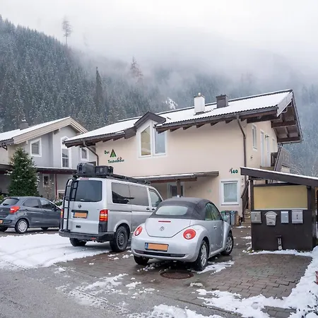 With Terrace In Hollersbach *