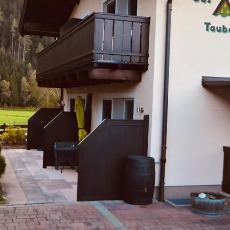 With Terrace In Hollersbach Holiday home Hollersbach im Pinzgau