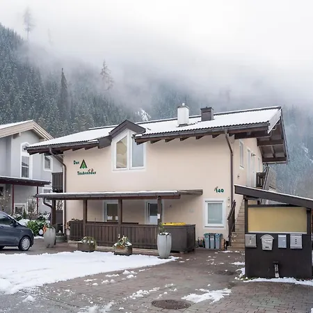 With Terrace In Hollersbach *