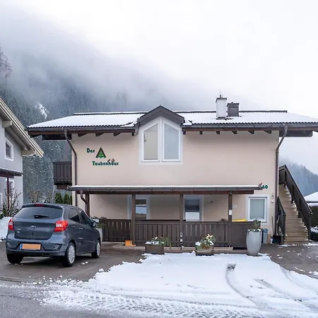 With Terrace In Hollersbach *