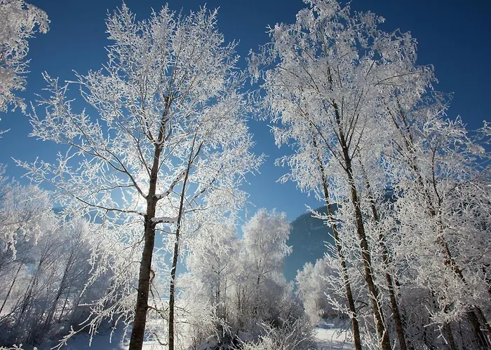 With Terrace In Hollersbach 度假居 胡勒斯巴赫平